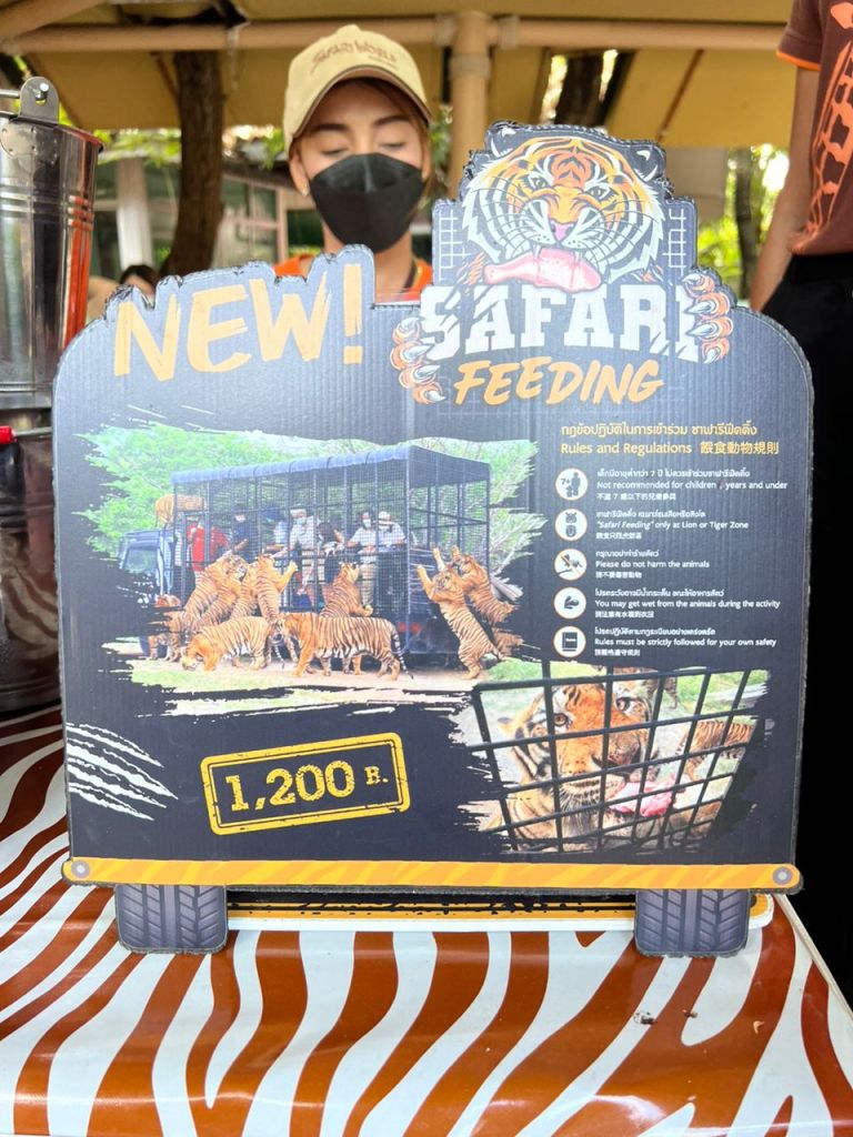 tiger safari bangkok